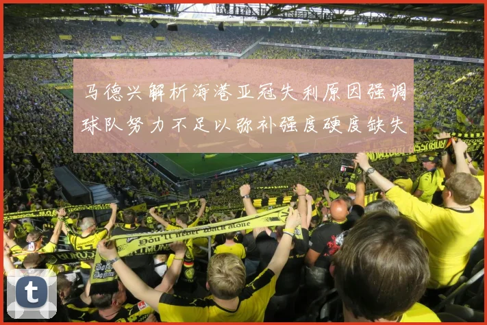 马德兴解析海港亚冠失利原因强调球队努力不足以弥补强度硬度缺失